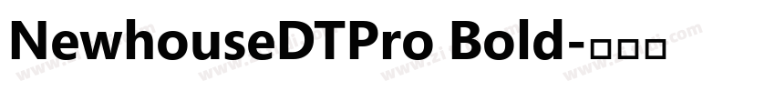 NewhouseDTPro Bold字体转换